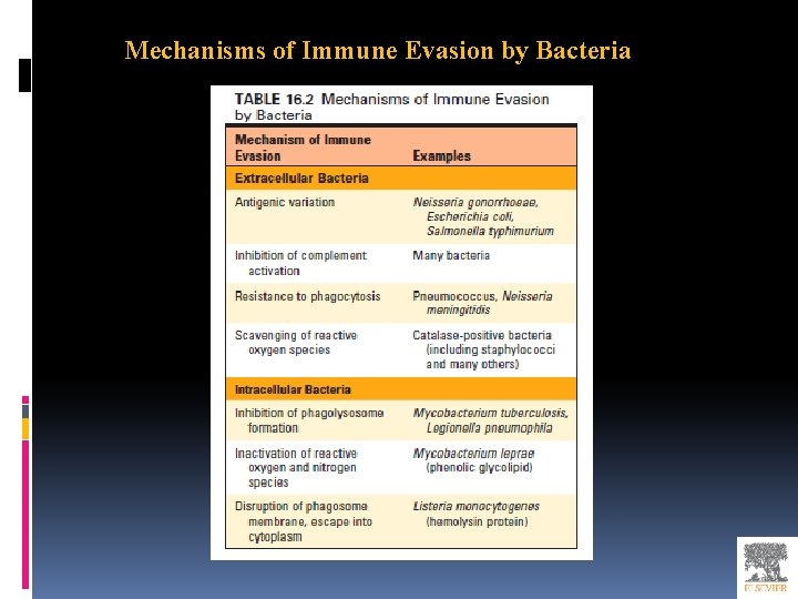 Mechanisms of Immune Evasion by Bacteria 