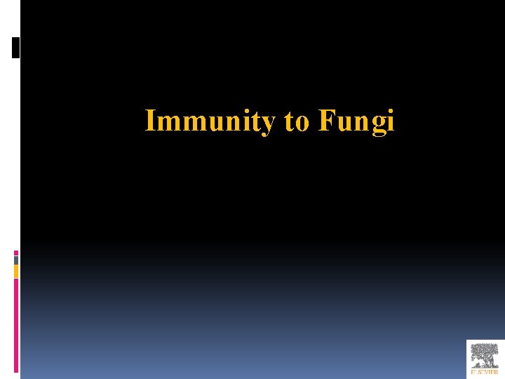 Immunity to Fungi 