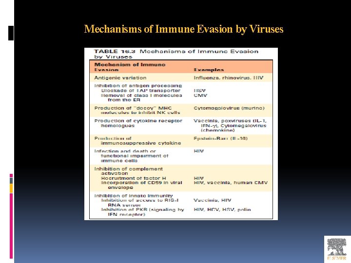 Mechanisms of Immune Evasion by Viruses 