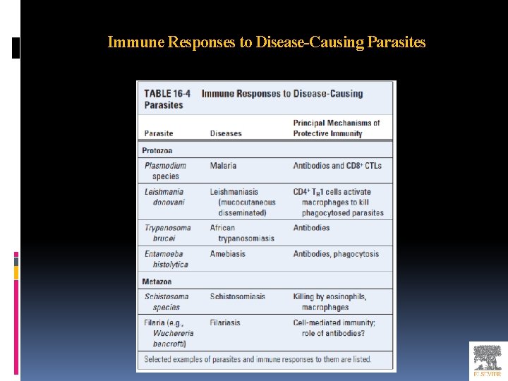 Immune Responses to Disease-Causing Parasites 