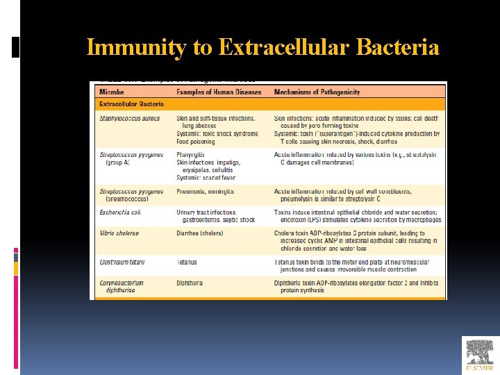 Immunity to Extracellular Bacteria 