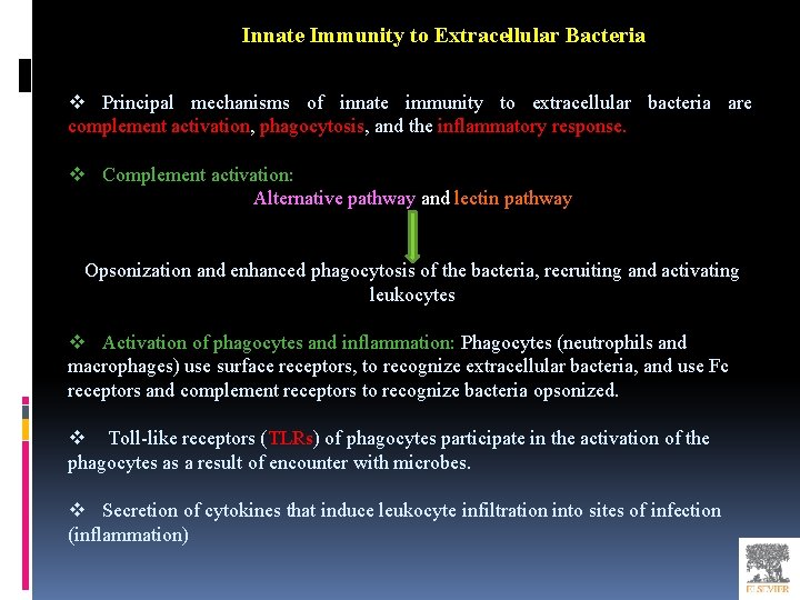 Innate Immunity to Extracellular Bacteria v Principal mechanisms of innate immunity to extracellular bacteria