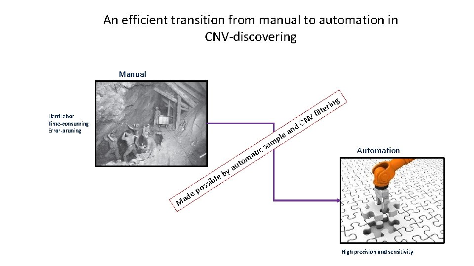 An efficient transition from manual to automation in CNV-discovering Manual Hard labor Time-consuming Error-pruning