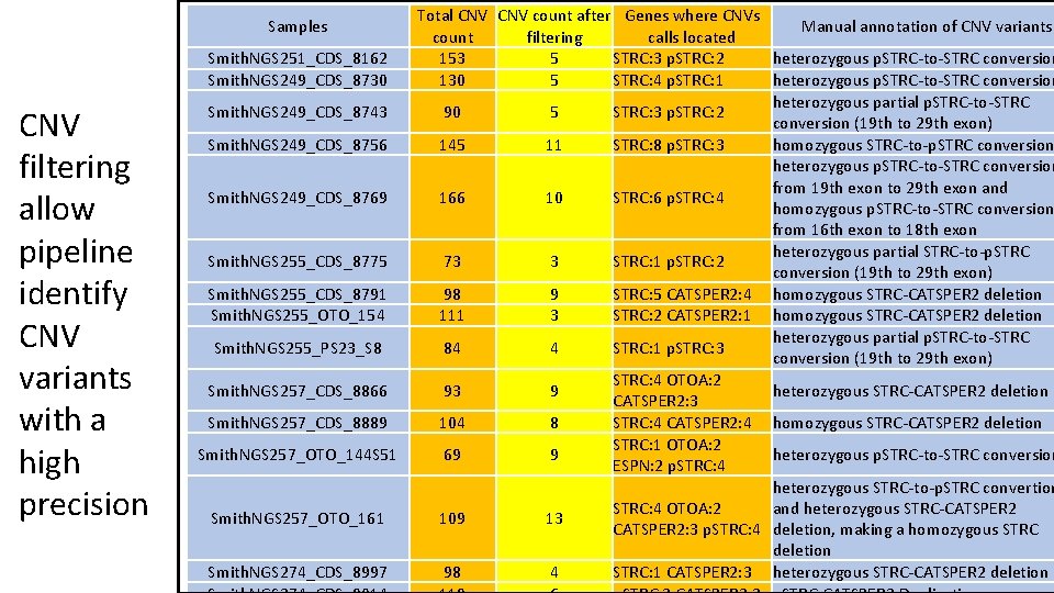 Samples Smith. NGS 251_CDS_8162 Smith. NGS 249_CDS_8730 CNV filtering allow pipeline identify CNV variants