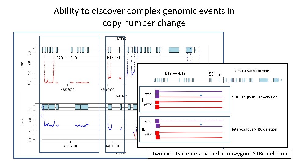 Ability to discover complex genomic events in copy number change E 29 -----E 19