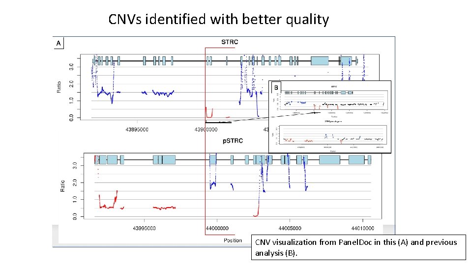 CNVs identified with better quality CNV visualization from Panel. Doc in this (A) and