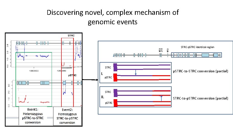 Discovering novel, complex mechanism of genomic events I. E 16 E 17 E 18
