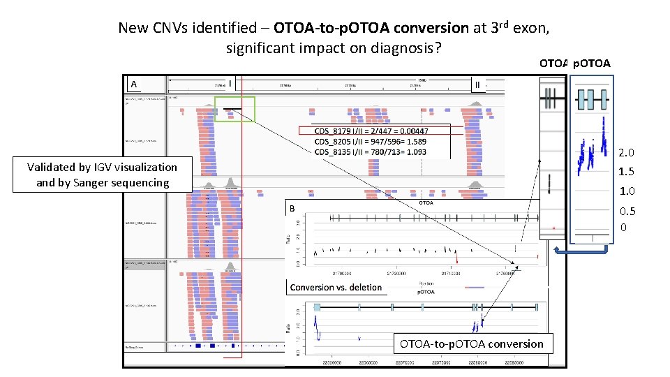 New CNVs identified – OTOA-to-p. OTOA conversion at 3 rd exon, significant impact on