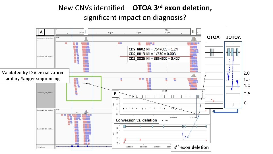 New CNVs identified – OTOA 3 rd exon deletion, significant impact on diagnosis? OTOA