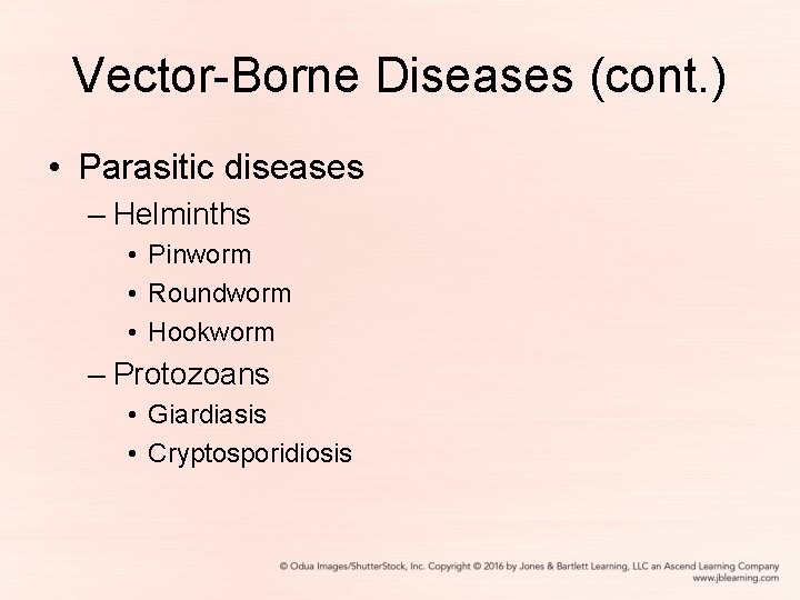 Vector-Borne Diseases (cont. ) • Parasitic diseases – Helminths • Pinworm • Roundworm •