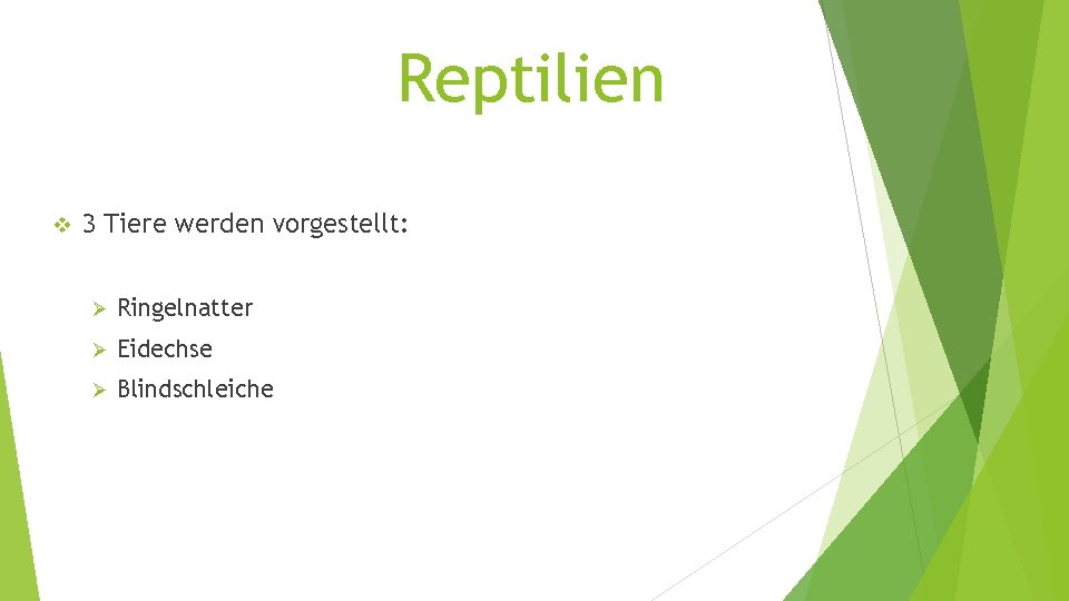 Reptilien v 3 Tiere werden vorgestellt: Ø Ringelnatter Ø Eidechse Ø Blindschleiche 