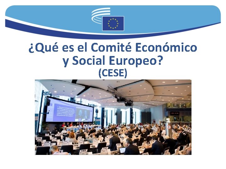 ¿Qué es el Comité Económico y Social Europeo? (CESE) 