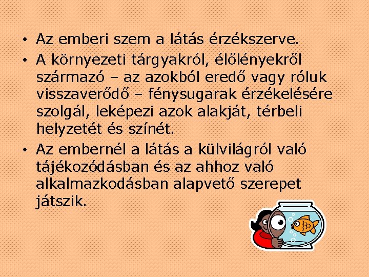  • Az emberi szem a látás érzékszerve. • A környezeti tárgyakról, élőlényekről származó