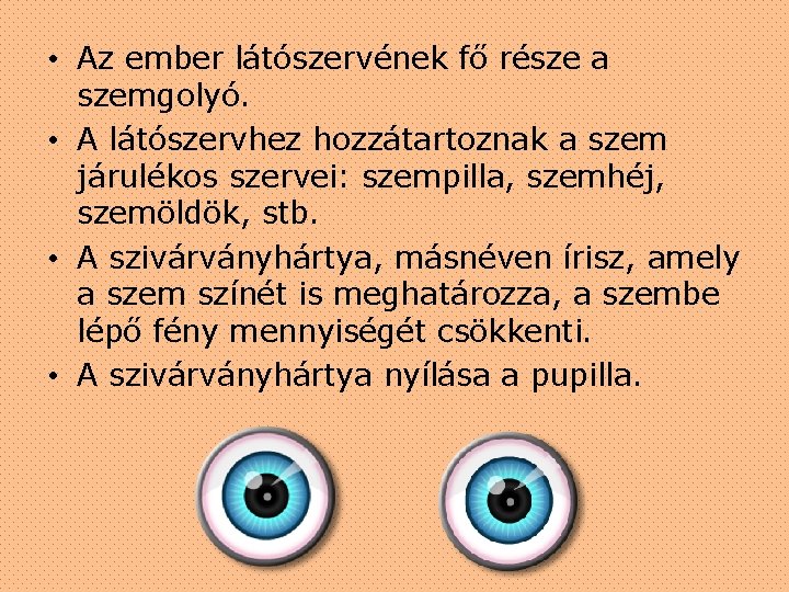  • Az ember látószervének fő része a szemgolyó. • A látószervhez hozzátartoznak a