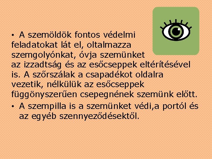 • A szemöldök fontos védelmi feladatokat lát el, oltalmazza szemgolyónkat, óvja szemünket az