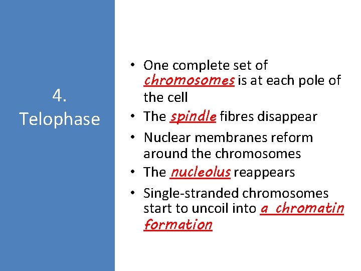 4. Telophase • One complete set of chromosomes is at each pole of the