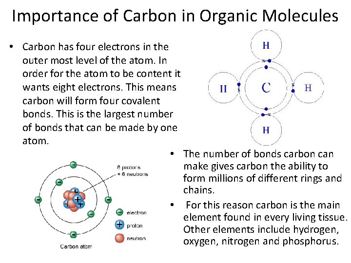 Importance of Carbon in Organic Molecules • Carbon has four electrons in the outer