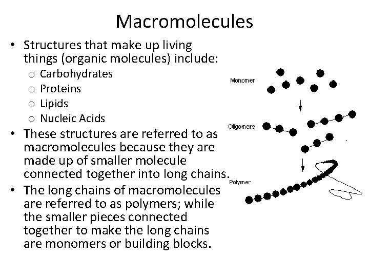 Macromolecules • Structures that make up living things (organic molecules) include: o o Carbohydrates