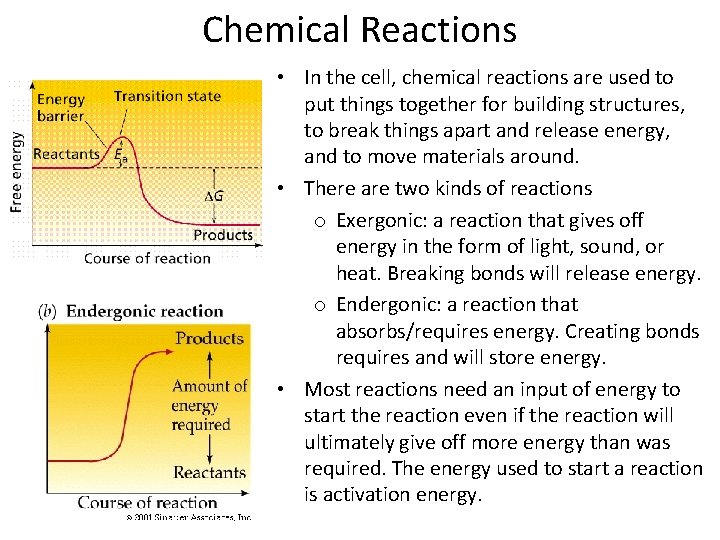 Chemical Reactions • In the cell, chemical reactions are used to put things together