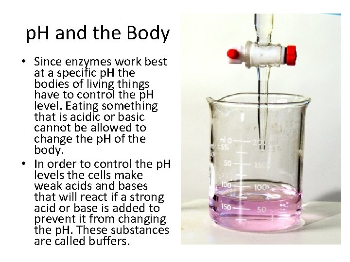p. H and the Body • Since enzymes work best at a specific p.