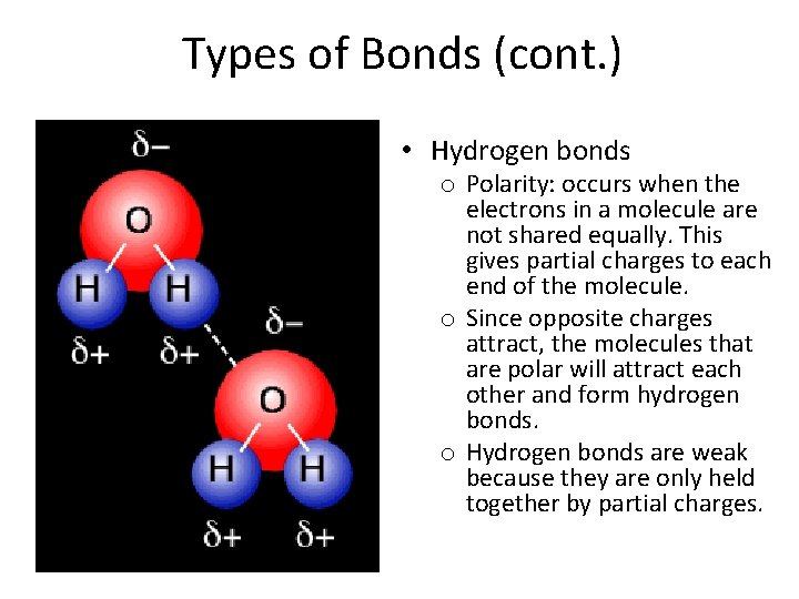 Types of Bonds (cont. ) • Hydrogen bonds o Polarity: occurs when the electrons