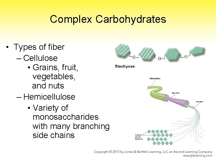 Complex Carbohydrates • Types of fiber – Cellulose • Grains, fruit, vegetables, and nuts
