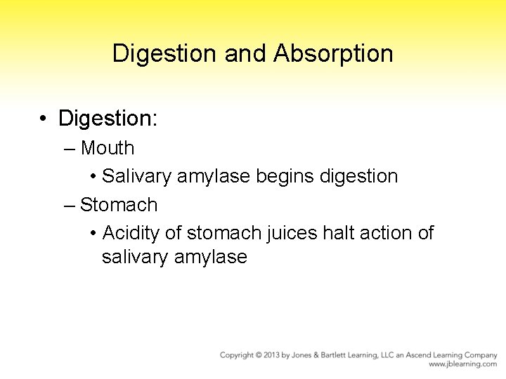 Digestion and Absorption • Digestion: – Mouth • Salivary amylase begins digestion – Stomach