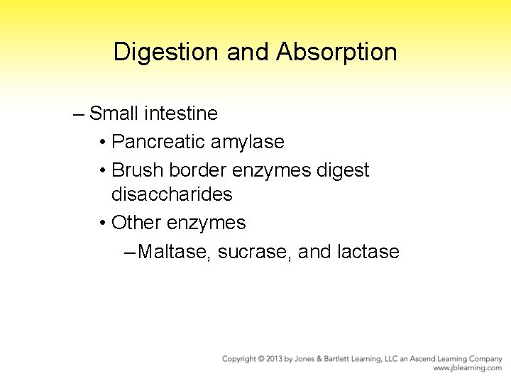 Digestion and Absorption – Small intestine • Pancreatic amylase • Brush border enzymes digest