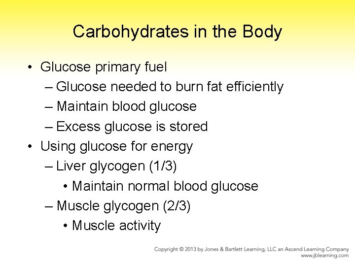 Carbohydrates in the Body • Glucose primary fuel – Glucose needed to burn fat