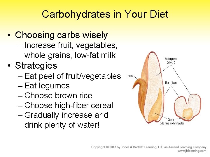 Carbohydrates in Your Diet • Choosing carbs wisely – Increase fruit, vegetables, whole grains,