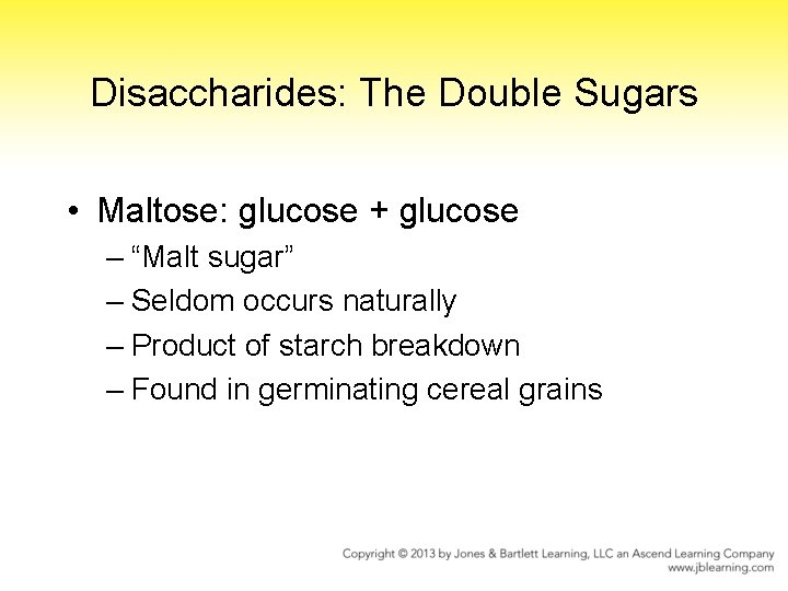 Disaccharides: The Double Sugars • Maltose: glucose + glucose – “Malt sugar” – Seldom