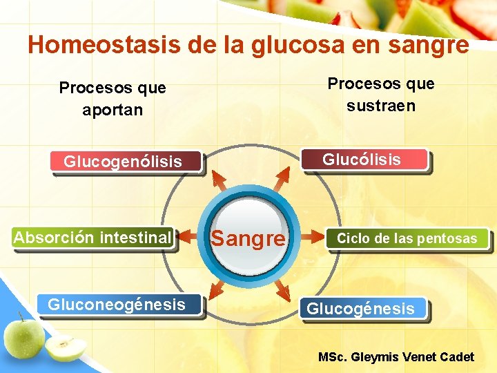 Homeostasis de la glucosa en sangre Procesos que sustraen Procesos que aportan Glucólisis Glucogenólisis