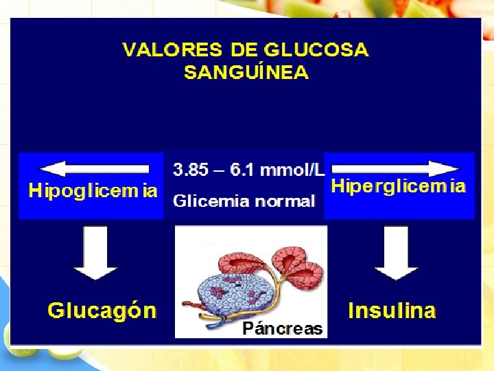  • La medición de glucosa en sangre es usada en el diagnóstico y