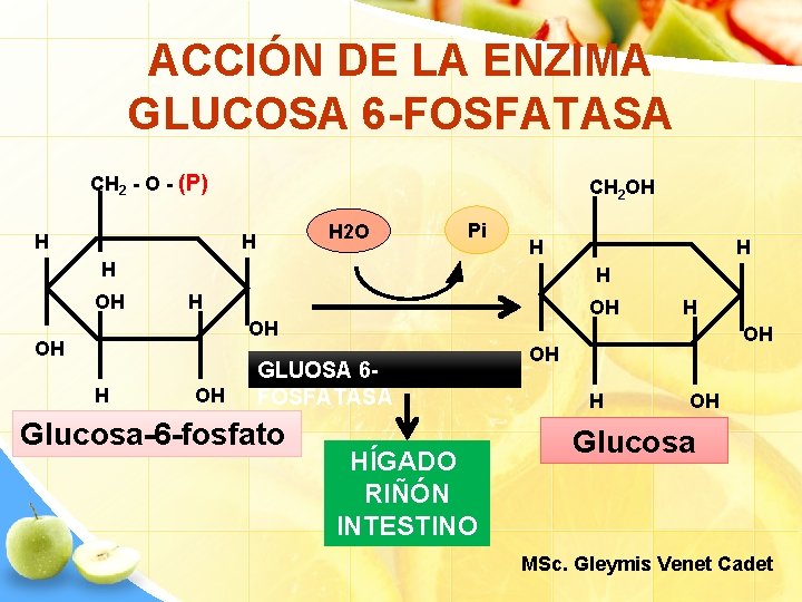 ACCIÓN DE LA ENZIMA GLUCOSA 6 -FOSFATASA CH 2 - O - (P) H