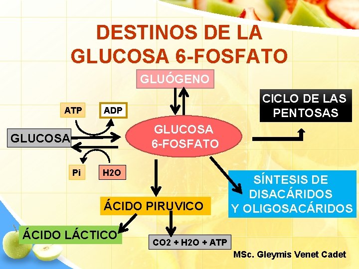DESTINOS DE LA GLUCOSA 6 -FOSFATO GLUÓGENO ATP CICLO DE LAS PENTOSAS ADP GLUCOSA