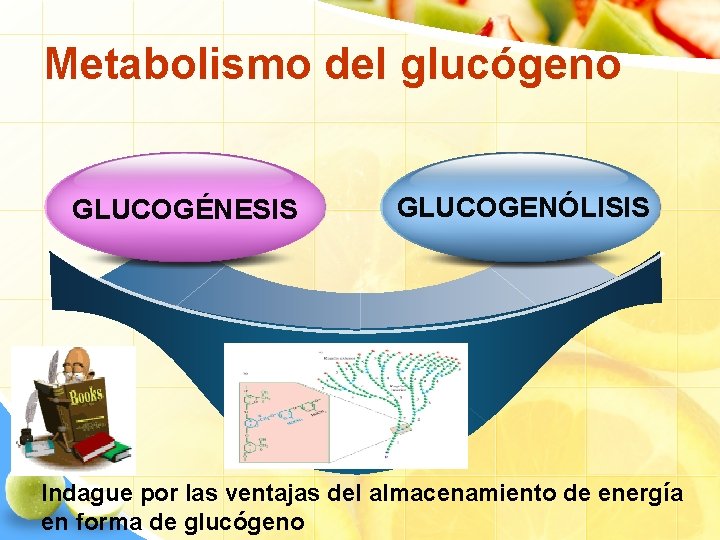 Metabolismo del glucógeno GLUCOGÉNESIS GLUCOGENÓLISIS Indague por las ventajas del almacenamiento de energía en