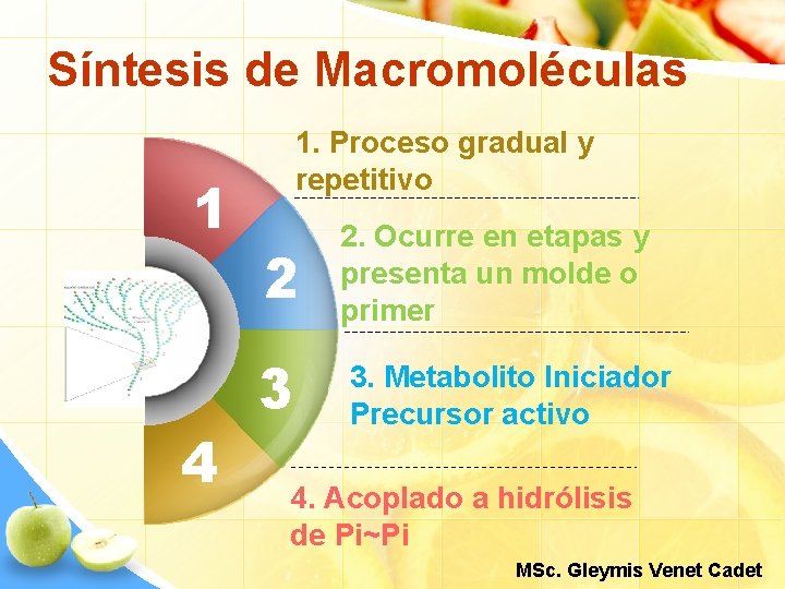 Síntesis de Macromoléculas 1 4 1. Proceso gradual y repetitivo 2 3 2. Ocurre
