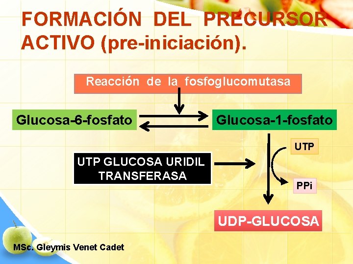 FORMACIÓN DEL PRECURSOR ACTIVO (pre-iniciación). Reacción de la fosfoglucomutasa Glucosa-6 -fosfato Glucosa-1 -fosfato UTP