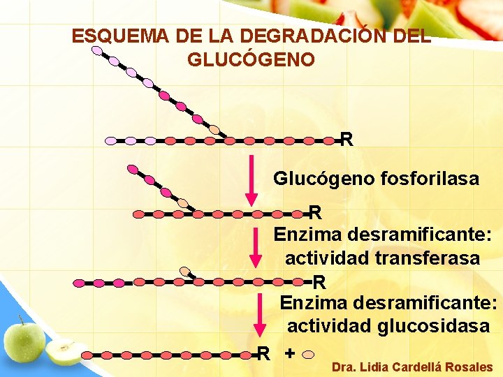 ESQUEMA DE LA DEGRADACIÓN DEL GLUCÓGENO R Glucógeno fosforilasa R Enzima desramificante: actividad transferasa