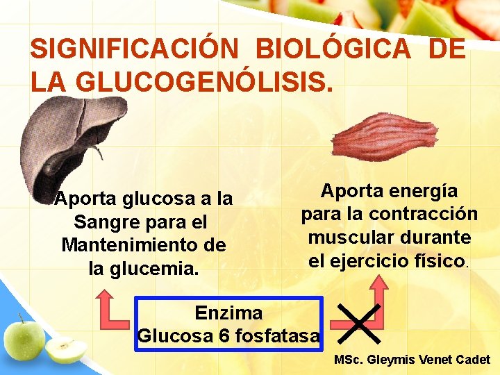 SIGNIFICACIÓN BIOLÓGICA DE LA GLUCOGENÓLISIS. Aporta glucosa a la Sangre para el Mantenimiento de