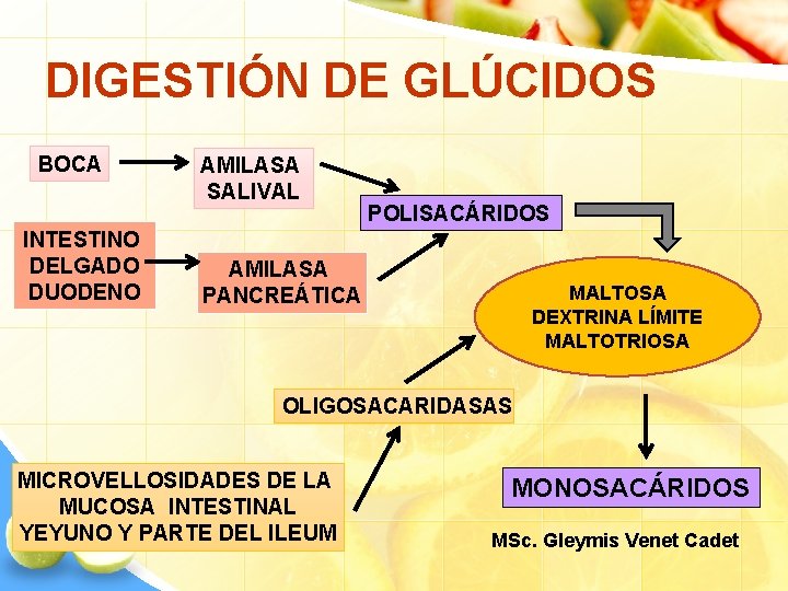 DIGESTIÓN DE GLÚCIDOS BOCA INTESTINO DELGADO DUODENO AMILASA SALIVAL POLISACÁRIDOS AMILASA PANCREÁTICA MALTOSA DEXTRINA