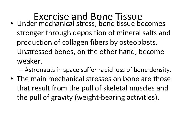 Exercise and Bone Tissue • Under mechanical stress, bone tissue becomes stronger through deposition