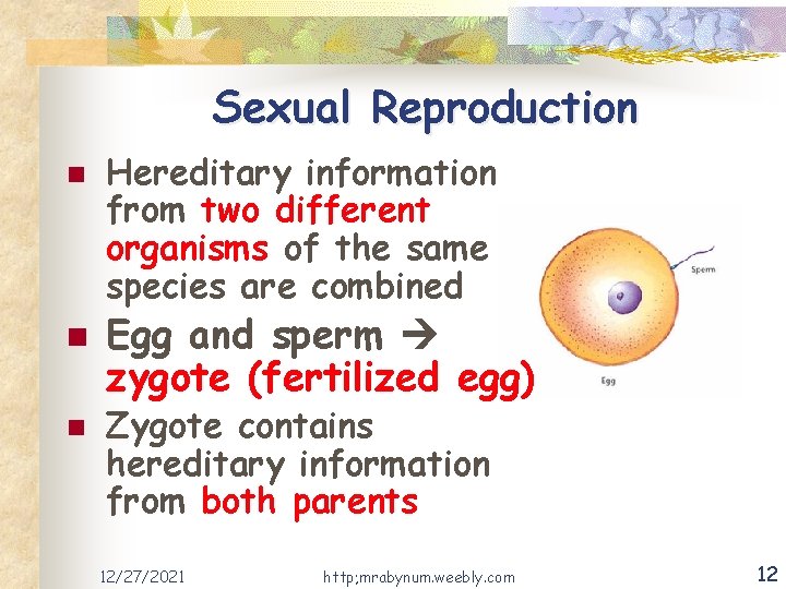 Sexual Reproduction n Hereditary information from two different organisms of the same species are