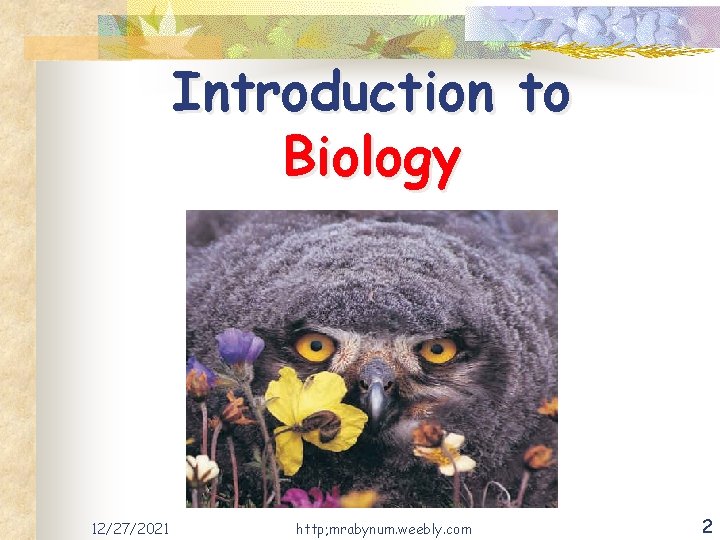Introduction to Biology 12/27/2021 http; mrabynum. weebly. com 2 