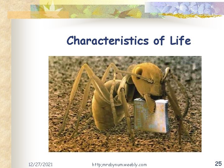 Characteristics of Life 12/27/2021 http; mrabynum. weebly. com 25 