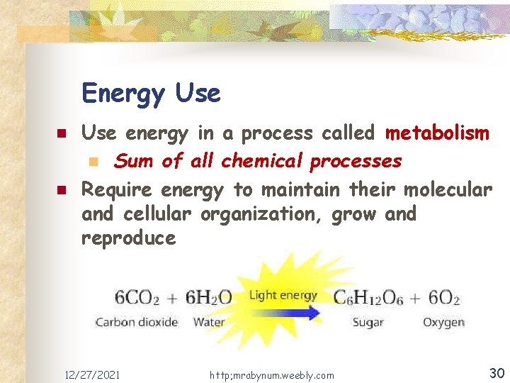 Energy Use n n Use energy in a process called metabolism n Sum of