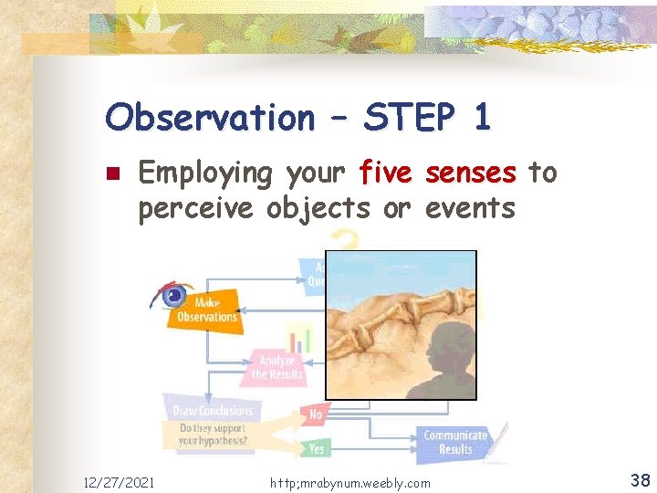 Observation – STEP 1 n Employing your five senses to perceive objects or events