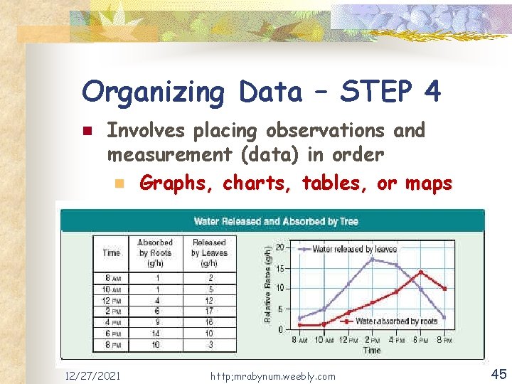 Organizing Data – STEP 4 n Involves placing observations and measurement (data) in order