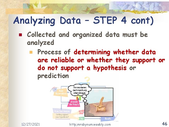Analyzing Data – STEP 4 cont) n Collected and organized data must be analyzed