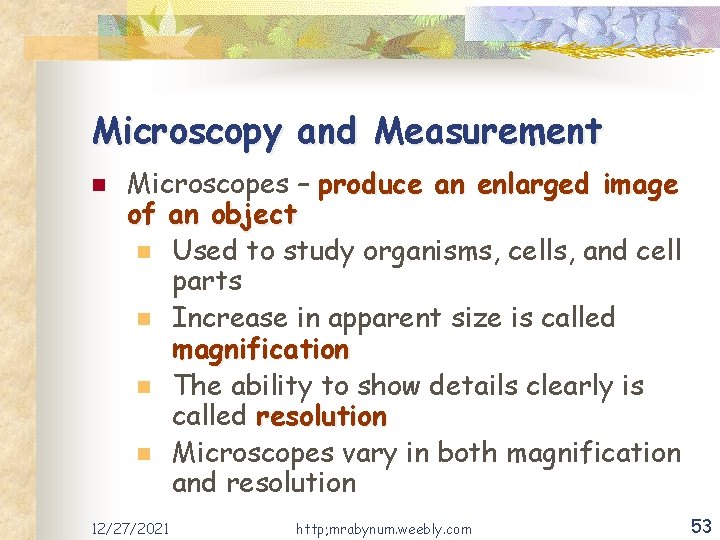 Microscopy and Measurement n Microscopes – produce an enlarged image of an object n
